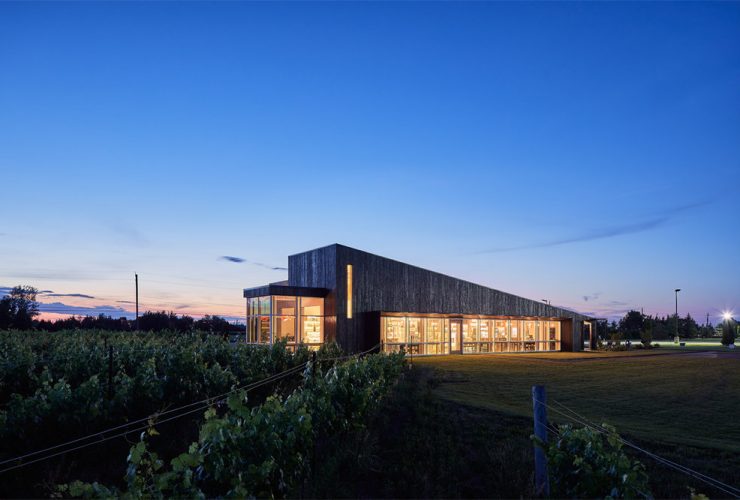Lakeview Wine Co niagara falls wine tour